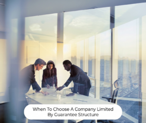 company limited by guarantee, ltd by guarantee benefits, advantage of company limited by guarantee, ltd by guarantee structure, ltd by guarantee vs ltd, company limited guarantee formation, ltd by guarantee registration, non profit ltd by guarantee, when to choose ltd by guarantee, ltd by guarantee setup